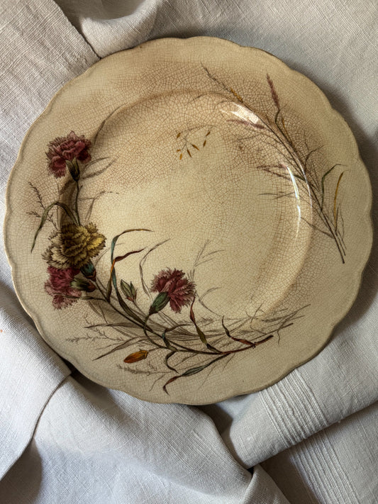 Antique French Botanical Plate