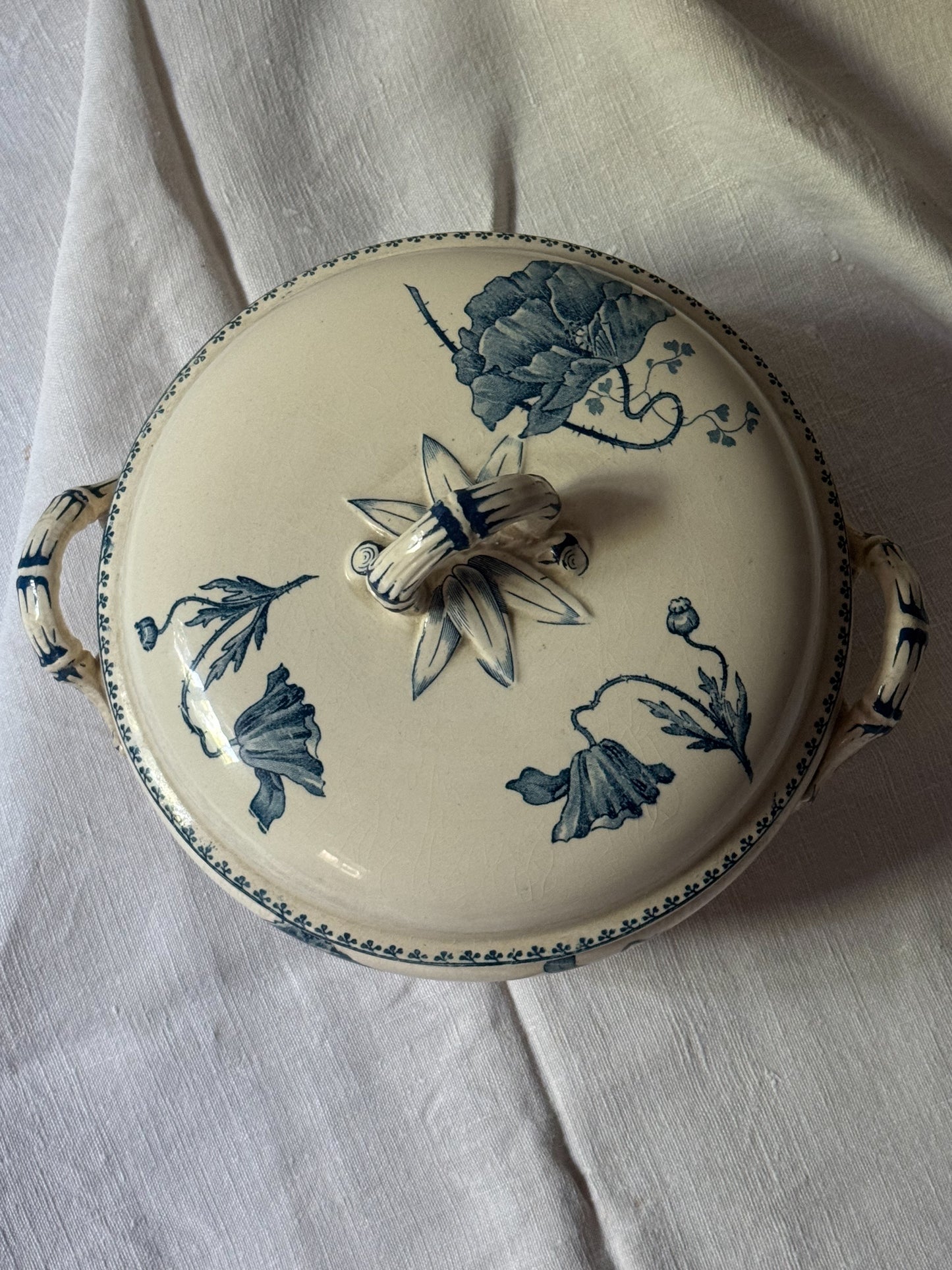 French légumier